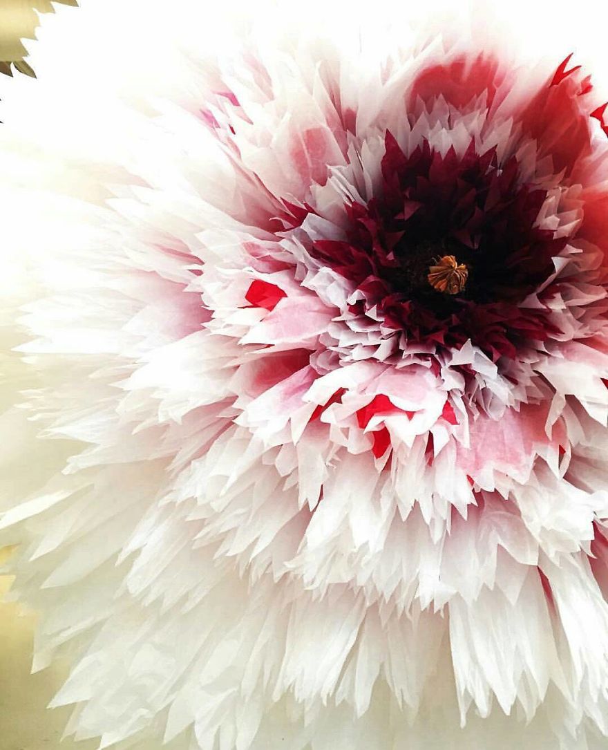 Tissue-Paper-Flower-Art