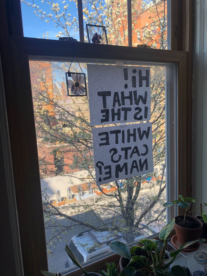 Woman Asks A Neighbor What His Cat's Name Is Via A Sign On Her Window, Receives An Answer And Cute Pics Woman Asks A Neighbor What His Cat's Name Is Via A Sign On Her Window, Receives An Answer And Cute Pics