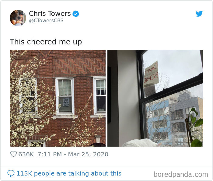 Woman Asks A Neighbor What His Cat's Name Is Via A Sign On Her Window, Receives An Answer And Cute Pics Woman Asks A Neighbor What His Cat's Name Is Via A Sign On Her Window, Receives An Answer And Cute Pics