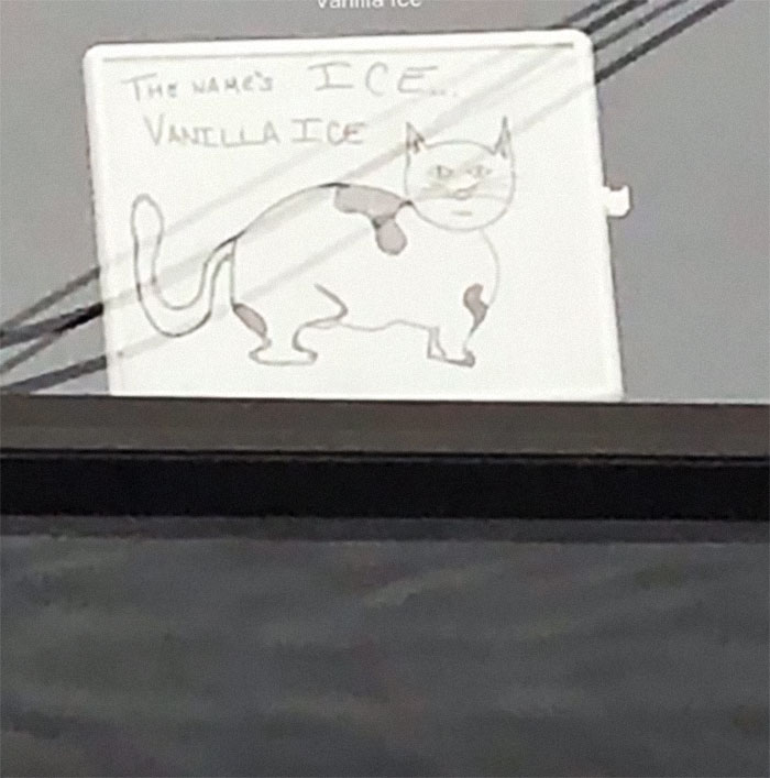 Woman Asks A Neighbor What His Cat's Name Is Via A Sign On Her Window, Receives An Answer And Cute Pics Woman Asks A Neighbor What His Cat's Name Is Via A Sign On Her Window, Receives An Answer And Cute Pics