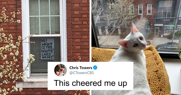 Woman Asks A Neighbor What His Cat’s Name Is Via A Sign On Her Window, Receives An Answer And Cute Pics