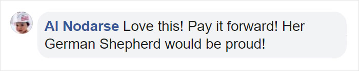 Woman Adopts 6 Dogs With Special Needs And Now They're All Living Their Best Lives