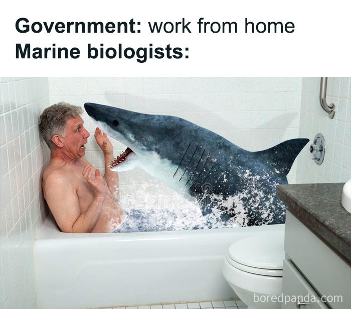 Work-From-Home-Jokes-Quarantine-Coronavirus