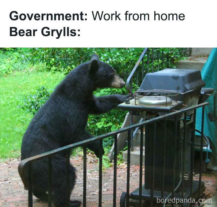 Work-From-Home-Jokes-Quarantine-Coronavirus