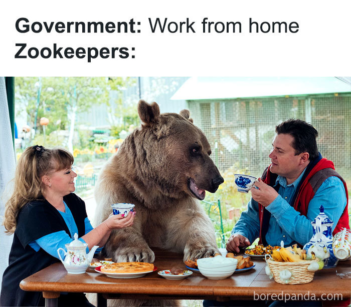 Work-From-Home-Jokes-Quarantine-Coronavirus