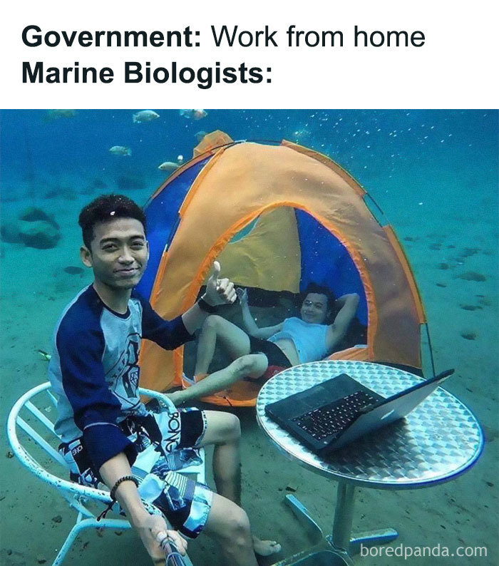 Work-From-Home-Jokes-Quarantine-Coronavirus