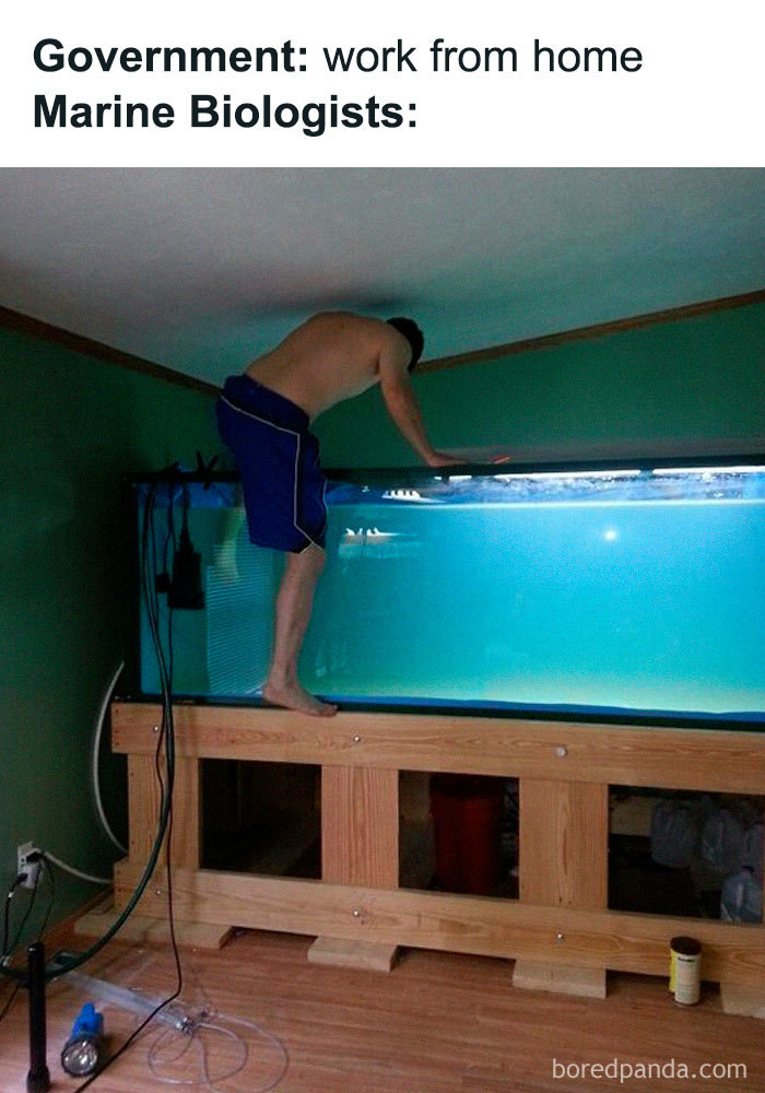 Work-From-Home-Jokes-Quarantine-Coronavirus