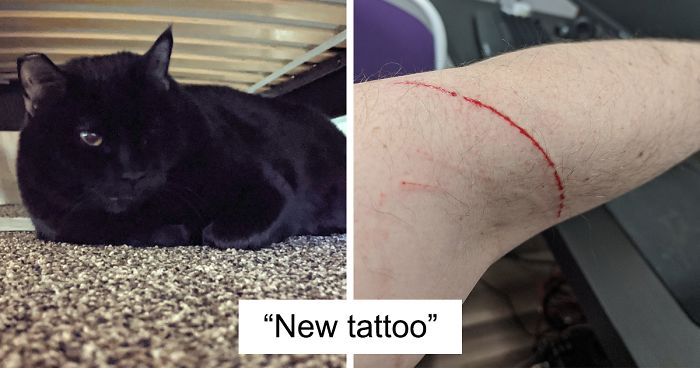 30 Funny “Co-Worker” Updates From People Working From Home