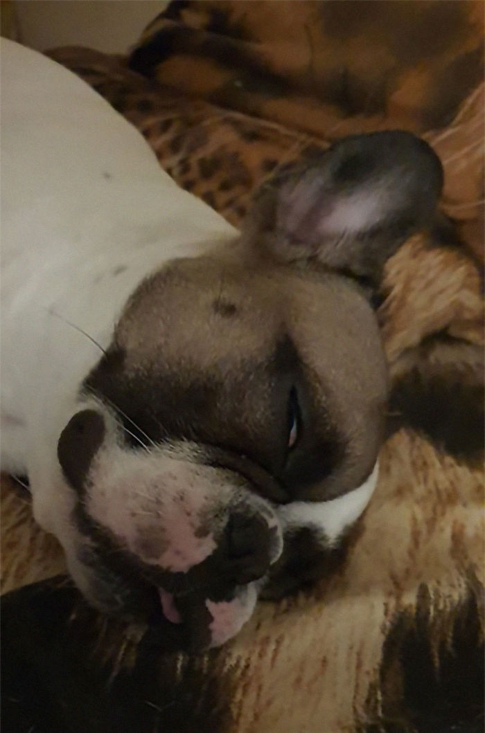 15 Min Power Nap At Work