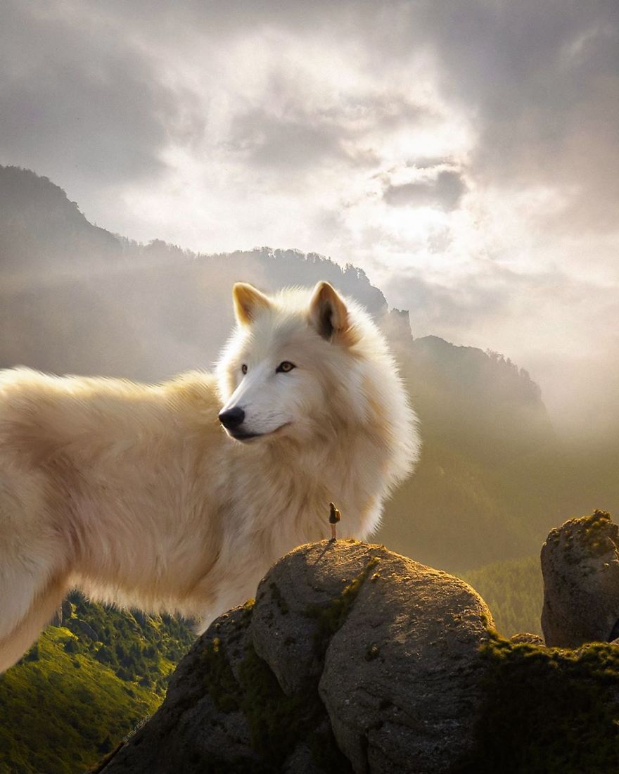 4 Fascinating Artistic Works On Manipulation