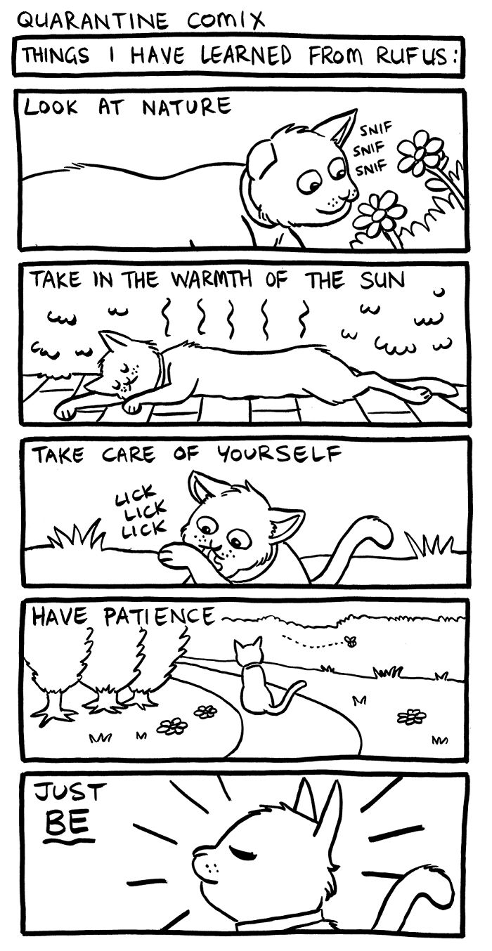 Quarantine Comix: 40 Relatable And Devastatingly Honest Comics About Lockdown By Rachael Smith