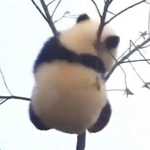 jacquelineerbe avatar