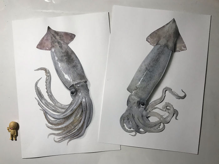 Japanese Artist Creates Incredibly Realistic Drawing Of A Squid That Looks Like A High-Resolution Photograph