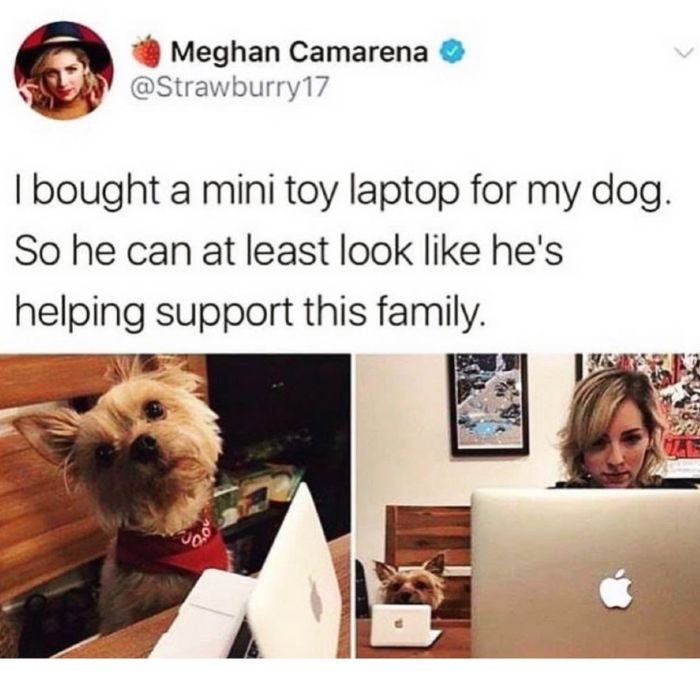 Coronavirus-Quarantine-Funny-Jokes