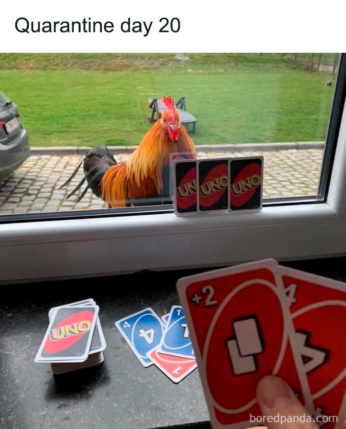 Coronavirus-Quarantine-Funny-Jokes