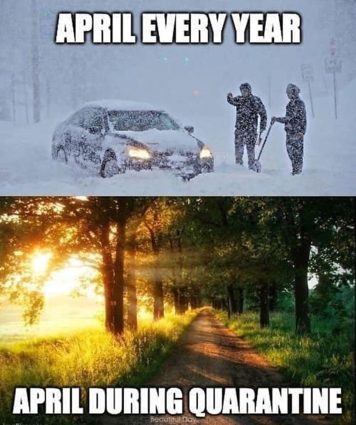 Coronavirus Jokes Are Everywhere And Here Are 153 Of The Best Ones This Week