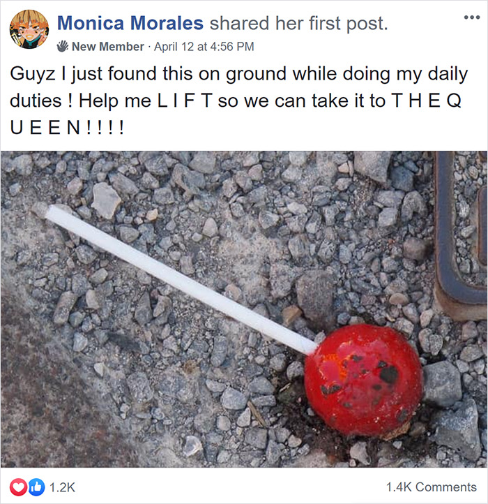 This Facebook Group Is Dedicated To People Pretending To Be Ants This Facebook Group Is Dedicated To People Pretending To Be Ants