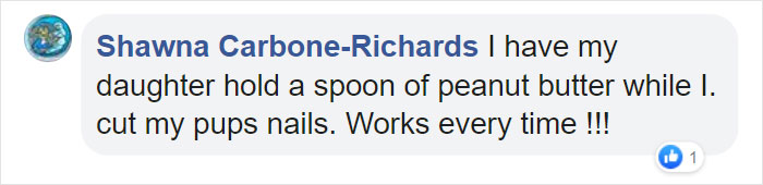 This Woman Found A Brilliant Hack For Clipping Your Dog's Nails