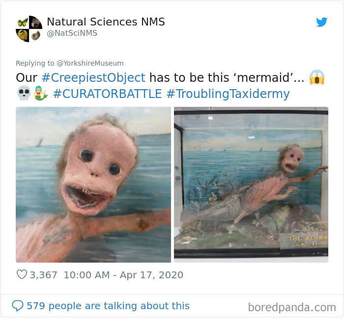 Creepiest-Objects-Curator-Battle-Yorkshire-Museum