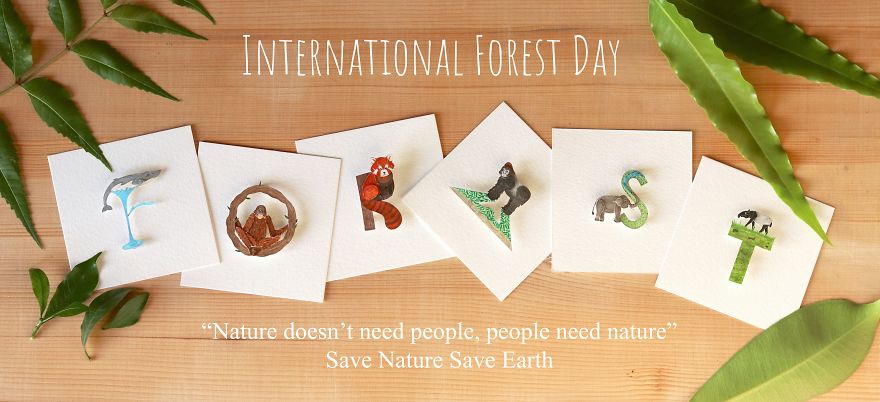 We Made An Alphabet Out Of Endangered Wildlife Species (34 Pics)