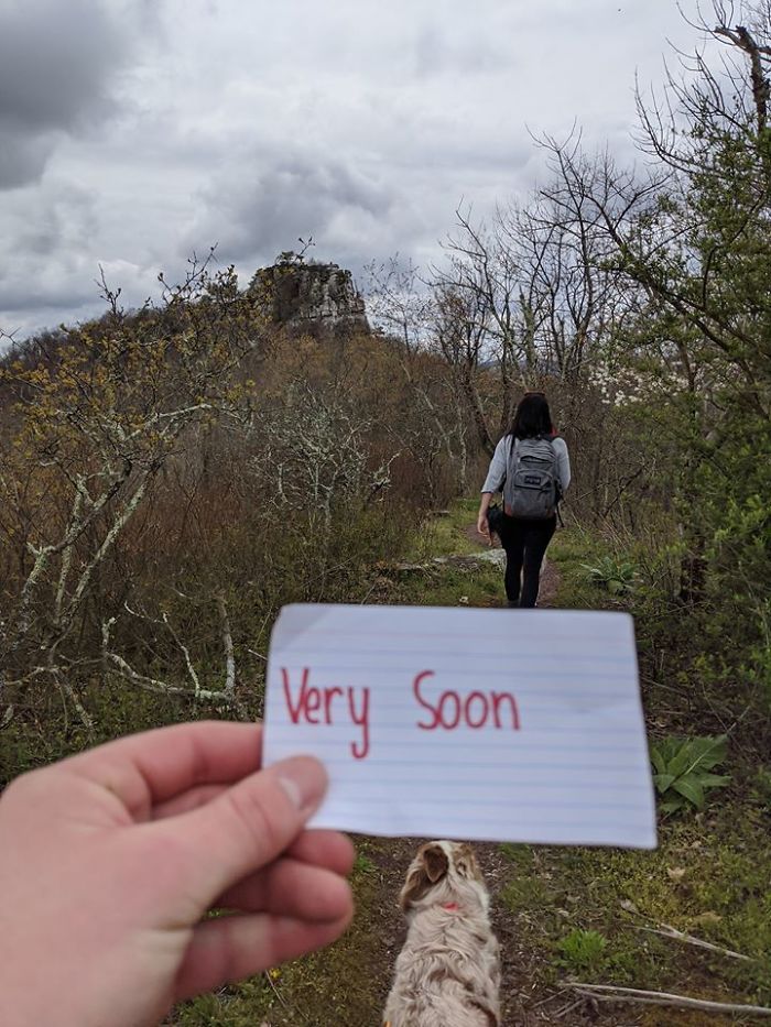 “I Don’t Think She Knows”: Covid-19 Ruins Guy’s Surprise Iceland-Engagement Plans, So He Decides To Make New Ones “I Don’t Think She Knows”: Covid-19 Ruins Guy’s Surprise Iceland-Engagement Plans, So He Decides To Make New Ones