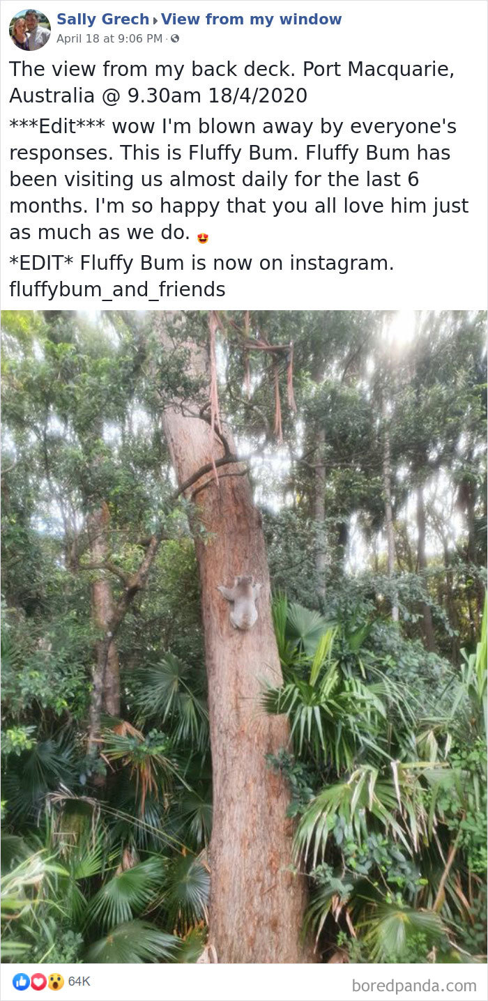 Outside-My-Window-Pics