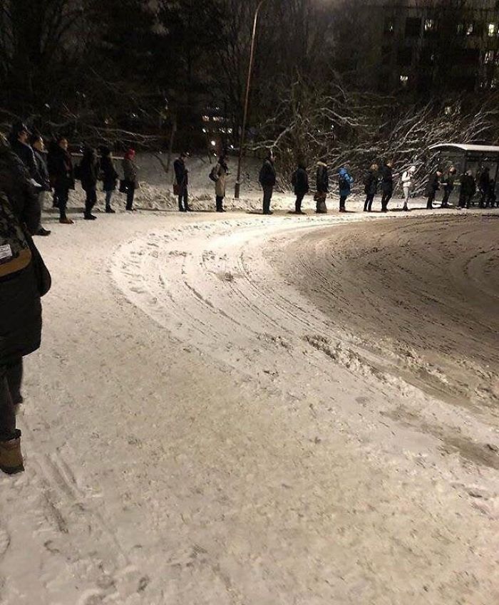 11 Of The Best Examples Of Nordic People Social Distancing Way Before Quarantine 11 Of The Best Examples Of Nordic People Social Distancing Way Before Quarantine