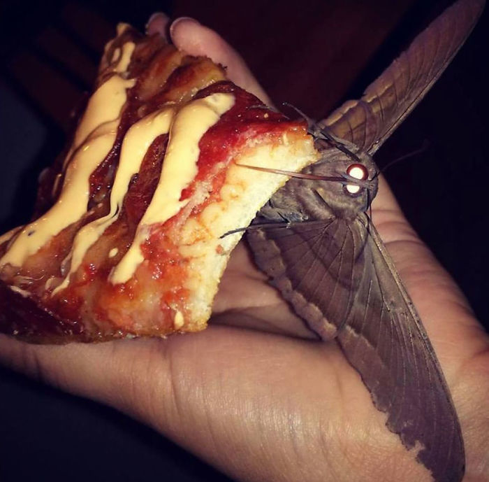 This Fella Made Me Feel Like A Disney Princess