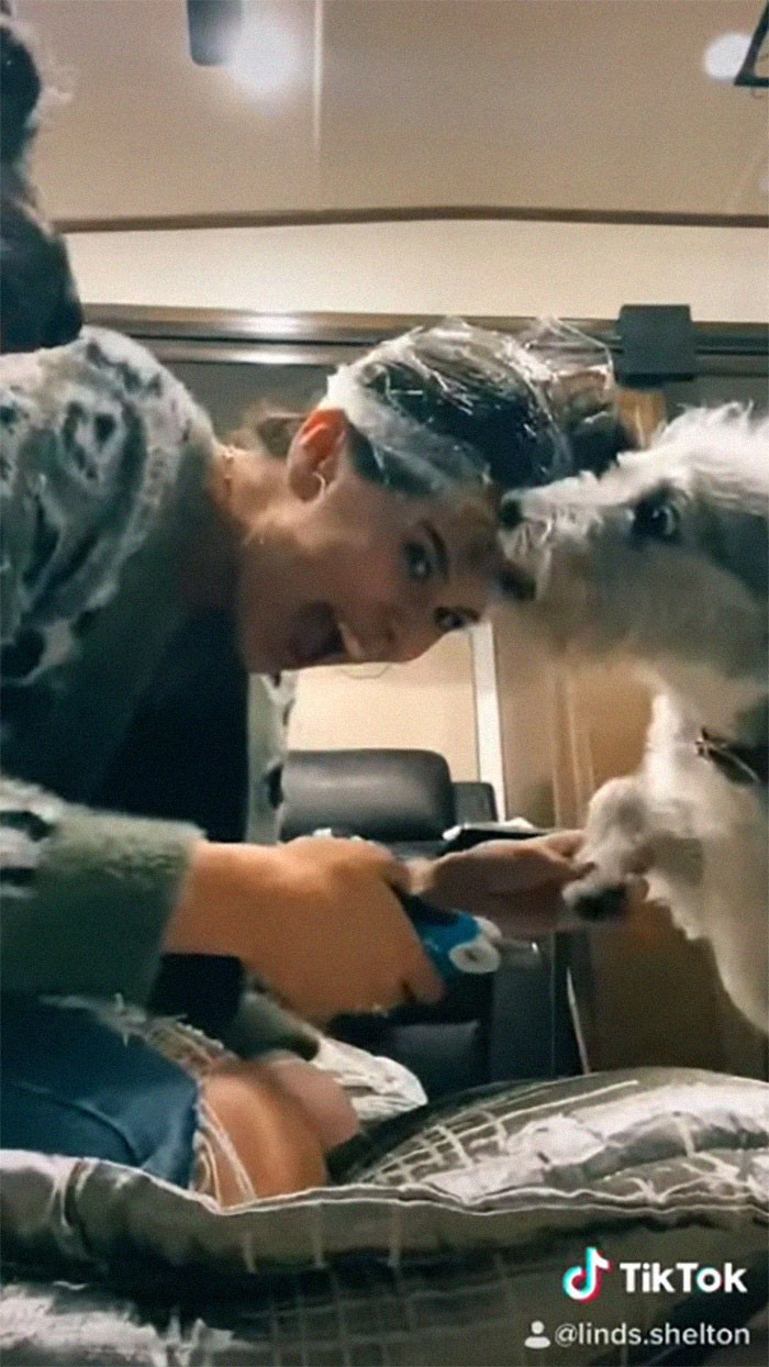 This Woman Found A Brilliant Hack For Clipping Your Dog's Nails