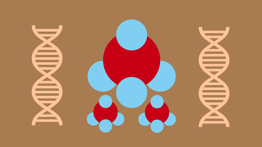 I Made An Animation That Explains How Different Coronavirus Tests Work (For The Non-Techies Out There)