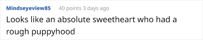 Timid Pup Comes Up With A Super Cute Way To Ask His Foster Parents For More Scratchies And Love Timid Pup Comes Up With A Super Cute Way To Ask His Foster Parents For More Scratchies And Love