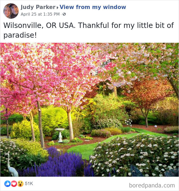 Outside-My-Window-Pics