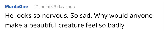 Timid Pup Comes Up With A Super Cute Way To Ask His Foster Parents For More Scratchies And Love Timid Pup Comes Up With A Super Cute Way To Ask His Foster Parents For More Scratchies And Love