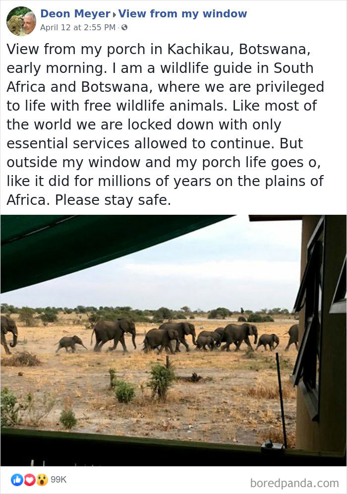 Outside-My-Window-Pics