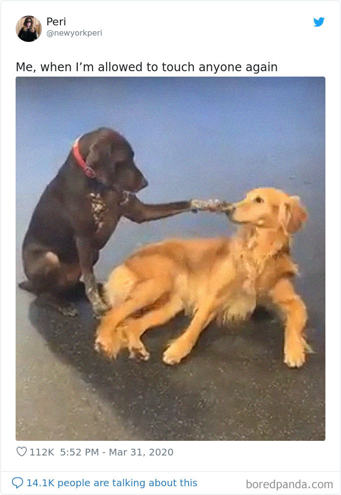 Coronavirus-Quarantine-Funny-Jokes