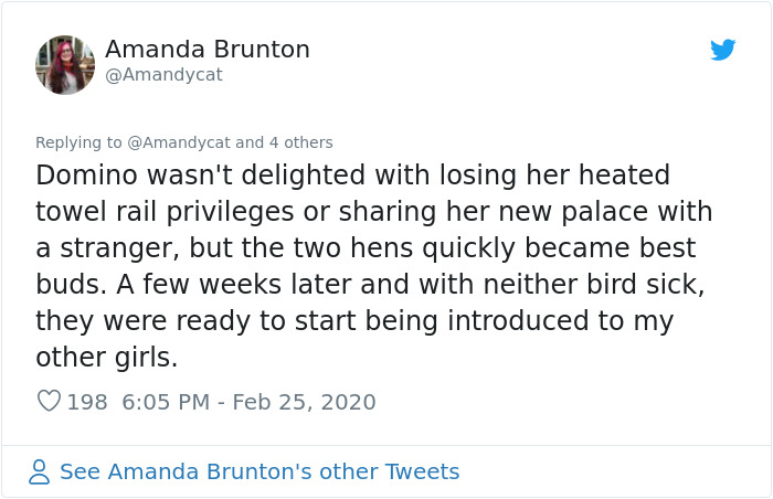 Woman Shares How She Realized Her Two Hens Were In A Lesbian Relationship In An Entertaining Thread