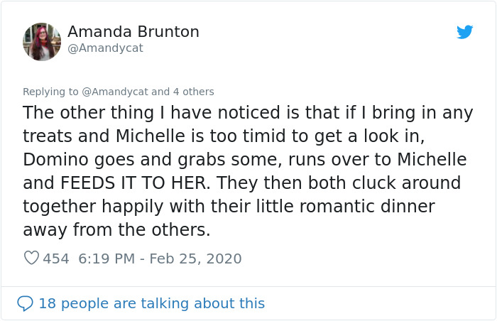 Woman Shares How She Realized Her Two Hens Were In A Lesbian Relationship In An Entertaining Thread Woman Shares How She Realized Her Two Hens Were In A Lesbian Relationship In An Entertaining Thread