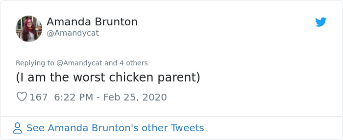 Woman Shares How She Realized Her Two Hens Were In A Lesbian Relationship In An Entertaining Thread