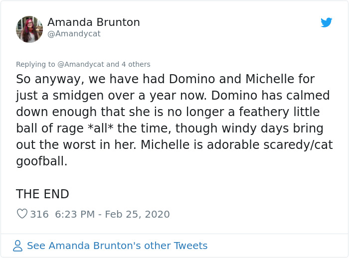 Woman Shares How She Realized Her Two Hens Were In A Lesbian Relationship In An Entertaining Thread