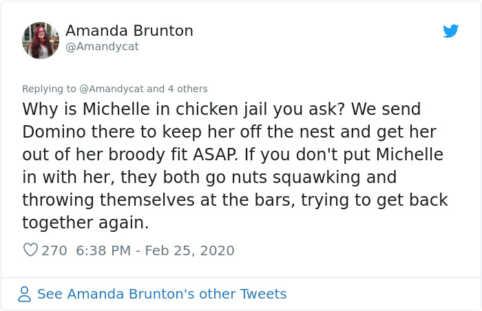 Woman Shares How She Realized Her Two Hens Were In A Lesbian Relationship In An Entertaining Thread Woman Shares How She Realized Her Two Hens Were In A Lesbian Relationship In An Entertaining Thread