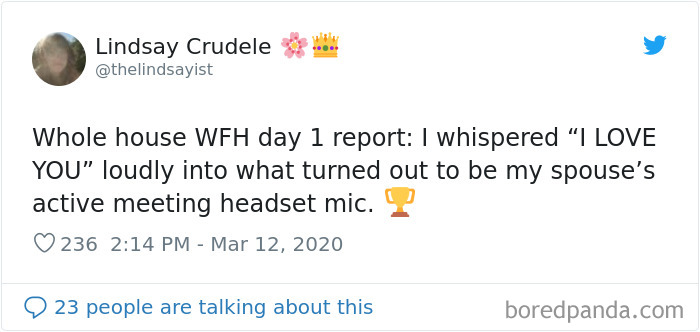 Funny-Video-Meetings-Conference-Call-Fails-Quarantine