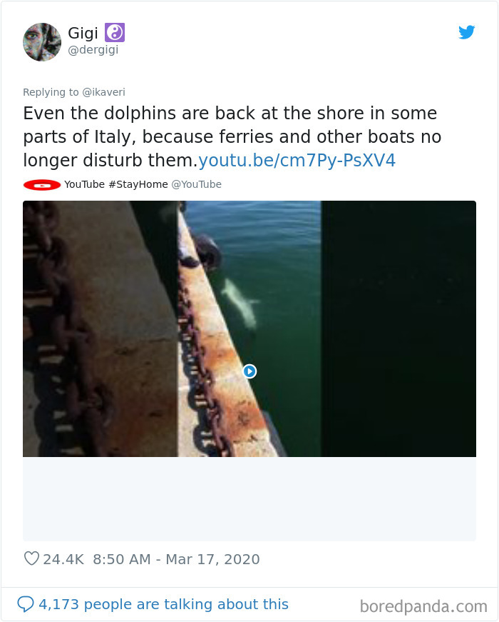 Coronavirus-Wholesome-Quarantine-Good-News