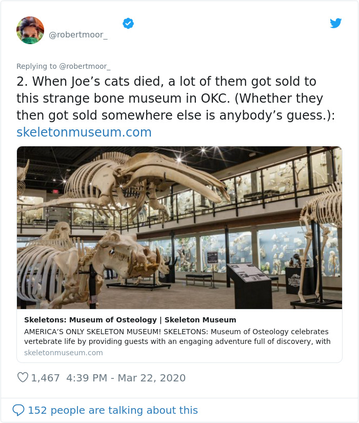 Person Shares 23 Wild Facts That Were Left Out Of Tiger King