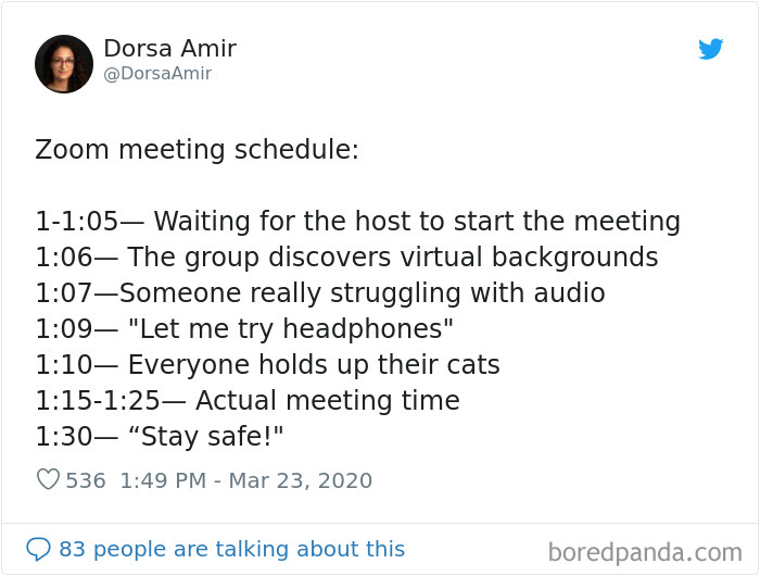 Funny-Zoom-Meetings