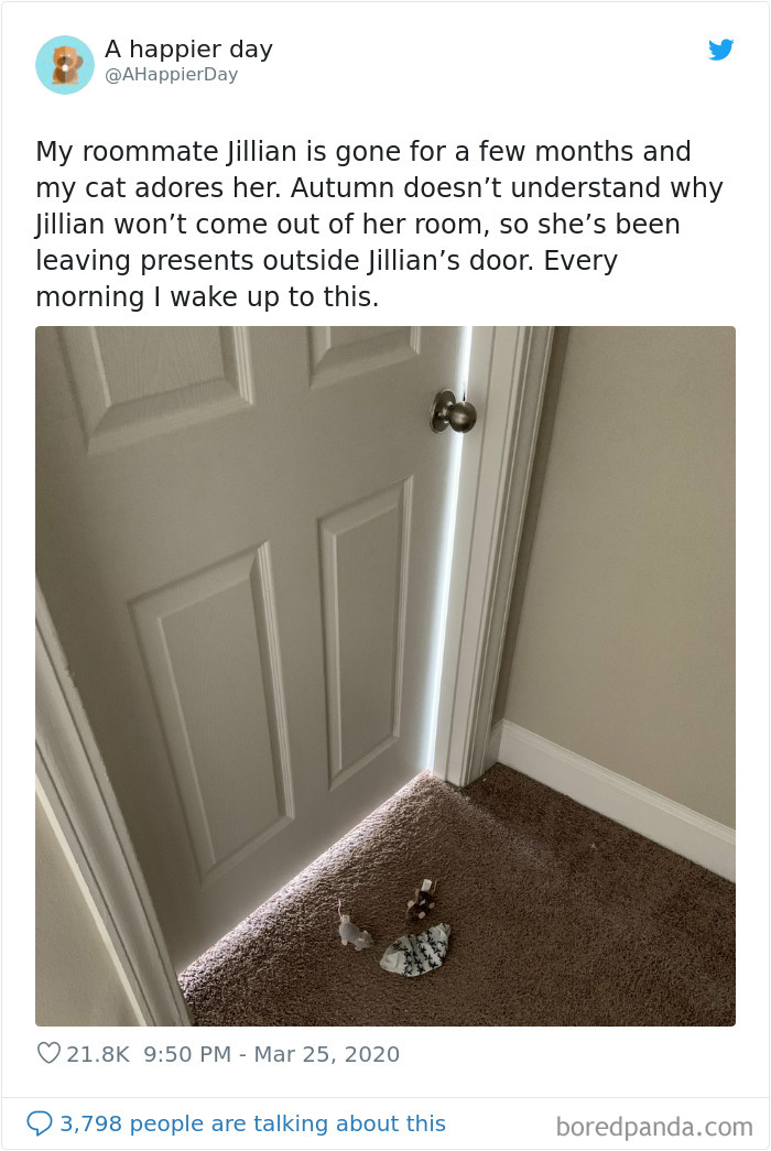 Coronavirus-Quarantine-Covid-19-Jokes