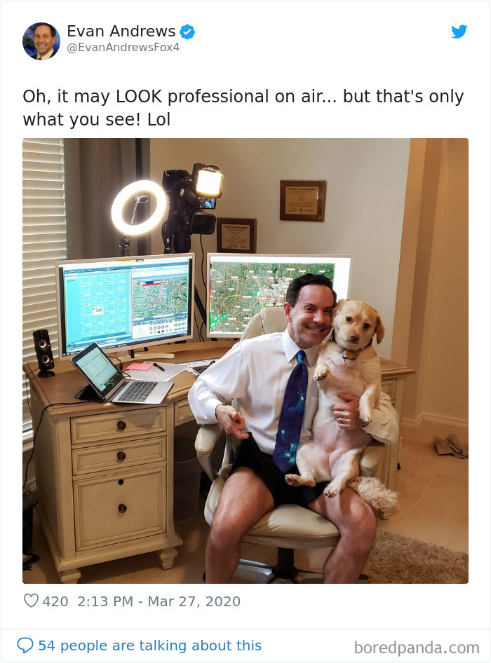 Weatherman Brightens Up People&rsquo;s Days By Letting His Pets Hang Out In The Background During Broadcasts