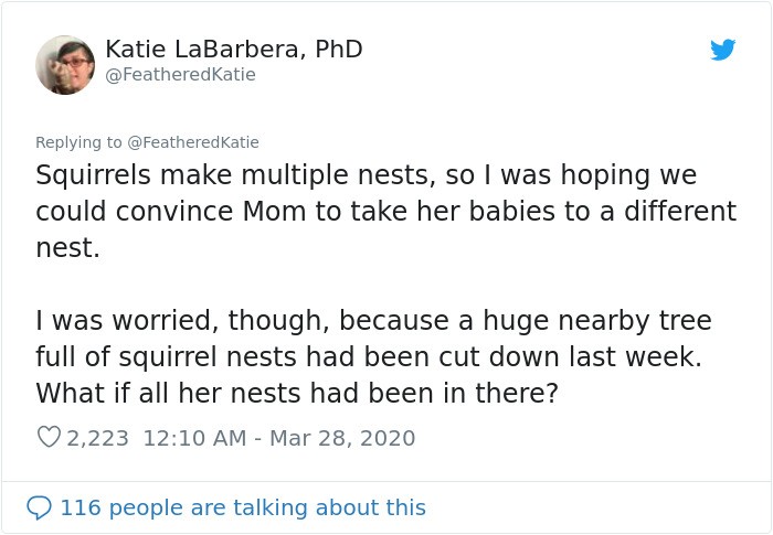 Neighbor Says Their Car Won't Start, Woman Finds A Squirrel She Tried To Fatten Up Has Had Babies Inside The Car