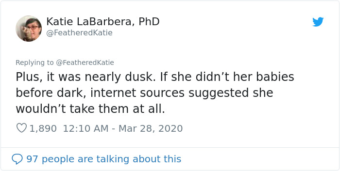 Neighbor Says Their Car Won't Start, Woman Finds A Squirrel She Tried To Fatten Up Has Had Babies Inside The Car Neighbor Says Their Car Won't Start, Woman Finds A Squirrel She Tried To Fatten Up Has Had Babies Inside The Car