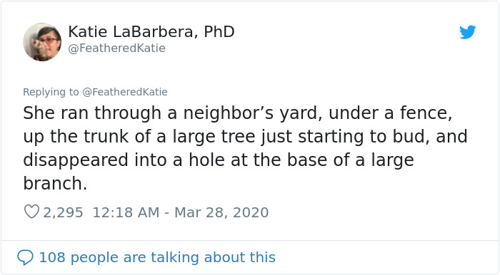 Neighbor Says Their Car Won't Start, Woman Finds A Squirrel She Tried To Fatten Up Has Had Babies Inside The Car Neighbor Says Their Car Won't Start, Woman Finds A Squirrel She Tried To Fatten Up Has Had Babies Inside The Car