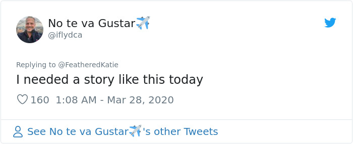 Neighbor Says Their Car Won't Start, Woman Finds A Squirrel She Tried To Fatten Up Has Had Babies Inside The Car Neighbor Says Their Car Won't Start, Woman Finds A Squirrel She Tried To Fatten Up Has Had Babies Inside The Car